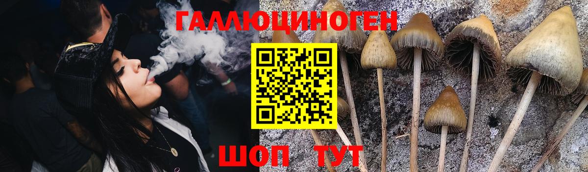 Псилоцибиновые грибы MAGIC MUSHROOMS  Галлюциногенные грибы Magic Shrooms  как найти закладки  Вход с VPN  Моздок 